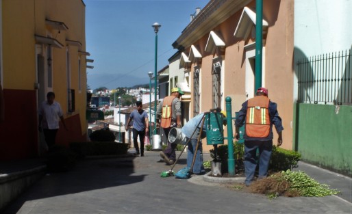 Arreglan jardineras del corredor Carlos Fuentes. 