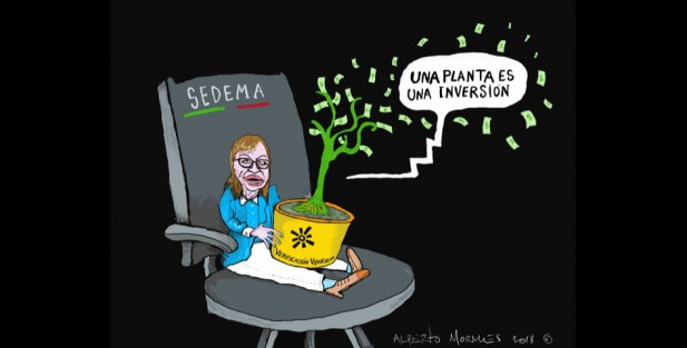  SEDEMA  dará clases de jardinería municipal a Hipólito 