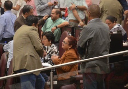 Daniela Griego dijo que la nueva ley incluye a sindicatos que antes no tenían representación en el Consejo de Dirección, se creó un Comité Financiero para determinar cómo se va a manejar el dinero del IPE. 