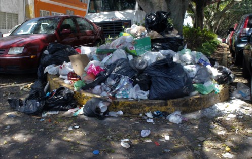 Montones de basura, así se ve seguido esta capital, con eso de que las rutas no pasan los días que se supone deben de pasar. 