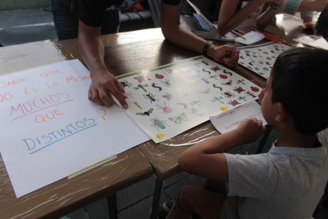 El Colectivo de Divulgación de Ciencia y Educación realizó una jornada de talleres en el parque Juárez de Xalapa, en donde niños, principalmente, pudieron acercarse al conocimiento científico de una manera divertida.