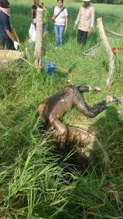  El cuerpo sin vida de un hombre fue rescatado del fondo de un pozo en la comunidad de Sabaneta, autoridades tomaron conocimiento de los hechos.