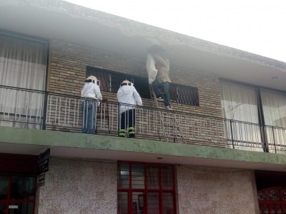  Mal manejo de colmenas provoca que abejas busquen refugio en techas de viviendas.

