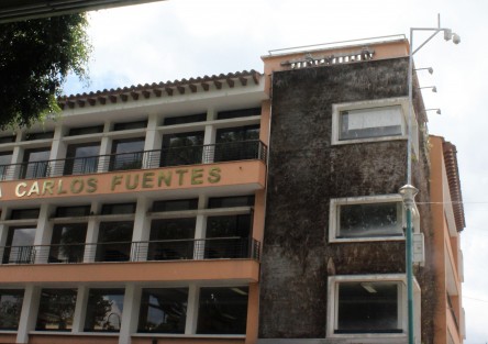 Afeando espacios las jardineras verticales colocadas en algunos espacios del centro de Xalapa, como la biblioteca Carlos Fuentes. Las mismas se dejaron morir desde la administración municipal pasada, quizá por falta de recursos. Urge que se haga algo si queremos mostrar una Xalapa floreciente.   