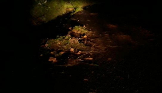 Uno de los deslaves ocurrió en la carretera Teocelo – Texin, a la altura del lugar conocido como El Palomar, donde ya fueron abiertos a la circulación los dos carriles.  