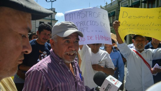 Cafeticultores comentaron que hace meses le plantearon a los funcionarios de SAGARPA se revisaran las importaciones para garantizar el levantamiento de la cosecha, sin embargo no ha pasado nada.