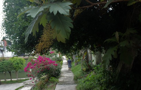 Vecinos opinan que parques y Jardines de Xalapa tiene descuidadas muchas zonas que por las noches se convierten en boca de lobo.