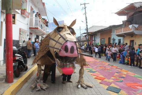 Caritas Teocelo. 