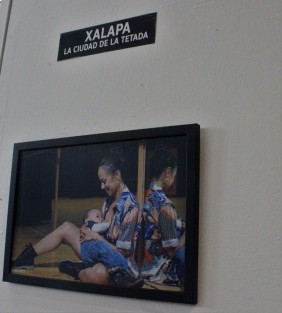 Exposición en  los pasillos del Palacio Legislativo.