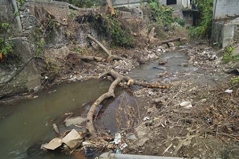 Van por el rescate del río Itzapa, a través del proyecto LUWA STAKNÍ.

