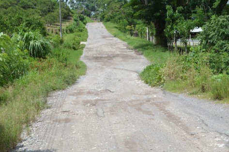 Avalan proyecto de carretera estatal para que sea rehabilitada.
