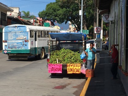 Ante la crisis, a cual más comercia, por lo que hasta frente a la Galería del Arte Contemporáneo se puede uno encontrar una  venta de jinicuiles. 