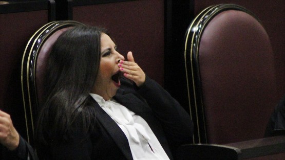 Algunos de los integrantes del Parlamento juvenil demostraron que tienen el perfil para llegar a una diputación proximamente.