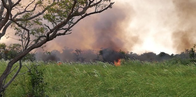 Este mediodía comenzó a registrarse un incendio en la Ciénega de Nautla, Ver., generando la movilización de corporaciones. Al momento iban 50 has. afectadas sin que el fuego fuera controlado.  