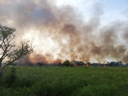 Este mediodía comenzó a registrarse un incendio en la Ciénega de Nautla, Ver., generando la movilización de corporaciones. Al momento iban 50 has. afectadas sin que el fuego fuera controlado.  