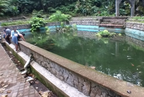 Varias partes del parque Los Tecajetes lucen en completo abandono desde hace ya varias administraciones municipales; se espera que por ser ecologista el actual  munícipe, el parque reviva  como en tiempos mejores.