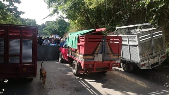 Ante la ola de inseguridad y la falta de respuesta por parte de las autoridades correspondientes; vecinos de la comunidad de Insurgentes Socialistas, perteneciente a este municipio y colindante con el Estado de Puebla; tomaron medidas hasta cierto punto extremas como son la colocación de barricadas y armarse con palos para defender a la población.