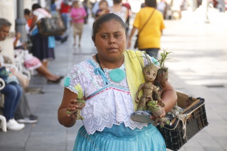 Mujeres de pueblos originarios, comercializan figura de súper héroe holliwoodense. En el zócalo de la ciudad, ofertan macetas del personaje <em>Groot</em> en 50, 100 y 200 pesos.  