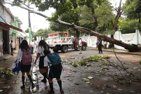 Un árbol cayó a consecuencia de la torrencial lluvia que se dejó sentir durante la madrugada. La calle J. Herrera de la colonia Carranza,de la ciudad de Boca del Río, Ver., tuvo que ser cerrada para retirar las ramas y tronco.