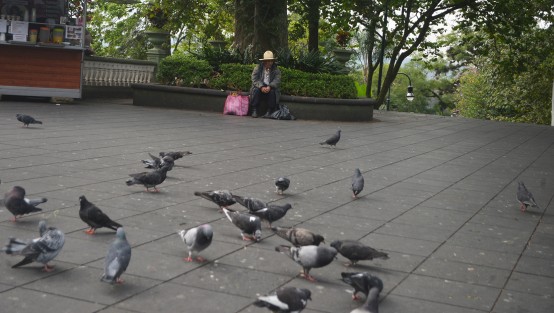 Esperando el alimento. 