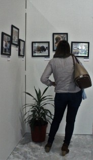 Despierta interés la exposición fotográfica Gráfica Democracia, del fotorreportero Víctor Fuentes, instalada en el Palacio Legislativo. 