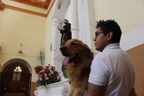 Como es tradición en algunas iglesias de Xalapa durante los festejos de San Francisco de Asís se realiza la bendición de animales, al ser este santo, patrono de los mismos, así como de ecologistas y todos aquellos que protegen la naturaleza. 