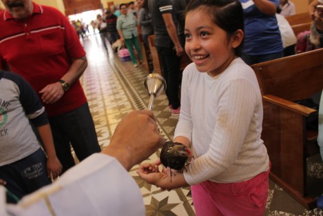 Como es tradición en algunas iglesias de Xalapa durante los festejos de San Francisco de Asís se realiza la bendición de animales, al ser este santo, patrono de los mismos, así como de ecologistas y todos aquellos que protegen la naturaleza. 