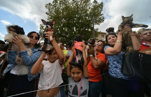 En el templo de San José se llevó a cabo la tradicional bendición de animales con motivo de la celebración de la fiesta de San Francisco de Asís.  