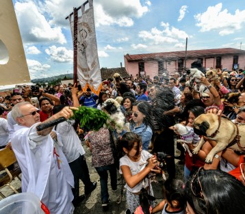 En el templo de San José se llevó a cabo la tradicional bendición de animales con motivo de la celebración de la fiesta de San Francisco de Asís.  