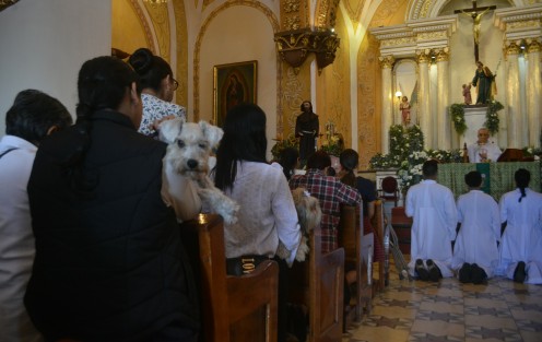 Previo a la bendición de animales, los feligreses atendieron la misa junto con sus mascotas.  