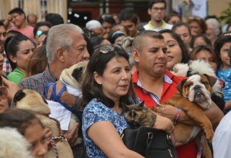 En el templo de San José se llevó a cabo la tradicional bendición de animales con motivo de la celebración de la fiesta de San Francisco de Asís.  
