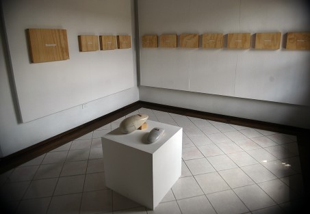 En la Galería de Arte Contemporáneo  de Xalapa se encuentra la exposición Entre Pasado y Futuro de Ryuichi Yahagi.