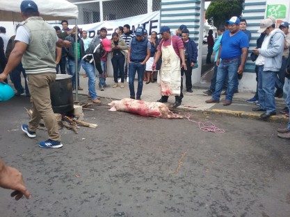 Manifestantes frente a las oficinas de Sedarpa en Xalapa,  mataron un marrano en el lugar, luego de 4 días de manifestación