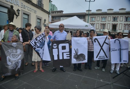 Integrantes de la Coalición de Pensionistas Independientes del Estado de Veracruz (COPIPEV) hicieron un mitin en la plaza Lerdo para festejar que la CNDH emitió una recomendación al Gobierno del Estado por la represión de que fueron víctimas el pasado 23 de diciembre del 2015.