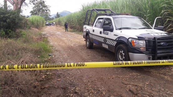  Con huellas de violencia e impactos de proyectil de arma de fuego, fueron localizados los cuerpos de tres personas del sexo masculino entre unos cañales ubicados en un camino de terracería del municipio de Fortín.