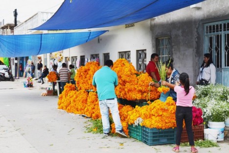 Comerciantes esperan mejores ventas para Todos Santos y lo que resta del año.
