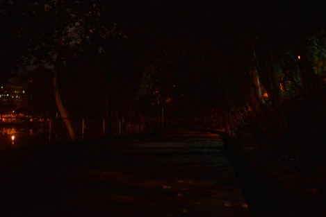 Así luce en Xalapa la parte del Paseo de los Lagos desde El Águila hasta donde se encuentran los juegos mecánicos. A decir de la gente, ya ha habido asaltos e intentos de faltar el respeto a varios jóvenes que por ahí transitan.  