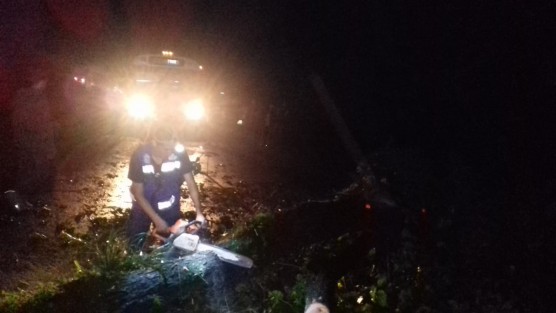 La noche de este sábado cayó un árbol en la carretera de la barranca Matlacobatl, a la altura de La Cruz debido al reblandecimiento de tierra provocado por las lluvias de las últimas horas. No hubo lesionado ni daños materiales. Se solicita transitar con precaución en dicha carretera.