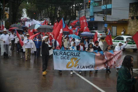 En la Marcha por la vida participaron personas de todas edades y profesiones, con lonas y pancartas se declararon a favor de la defensa de la vida en todas sus etapas, y en especial su rechazo al aborto.