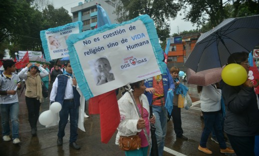 En la Marcha por la vida participaron personas de todas edades y profesiones, con lonas y pancartas se declararon a favor de la defensa de la vida en todas sus etapas, y en especial su rechazo al aborto.