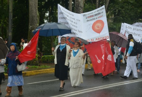 En la Marcha por la vida participaron personas de todas edades y profesiones, con lonas y pancartas se declararon a favor de la defensa de la vida en todas sus etapas, y en especial su rechazo al aborto.