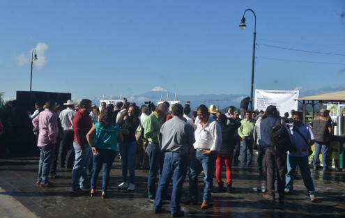 Con exposiciones de fotografías y de café se llevó a cabo en la terraza del parque Juárez el Día Internacional del Café..