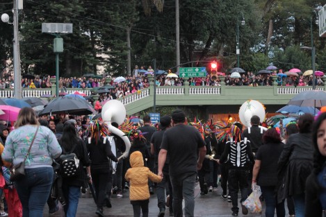 Con bastante participación de contingentes y espectadores se llevó a cabo el desfile de catrinas en Xalapa.   