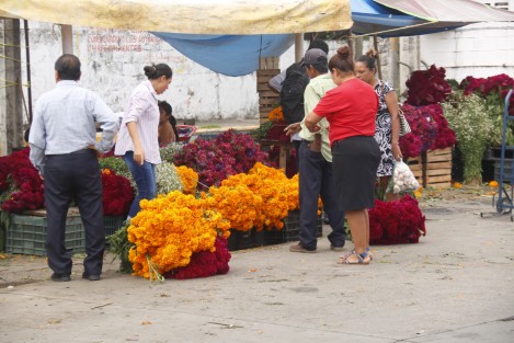 Inician las compras masivas en los mercados de la ciudad de Veracruz para la celebración del Día de Muertos. El gasto total para la instalación completa de un altar, va desde los 300 hasta los mil 500 pesos.  