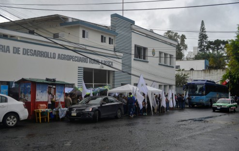 Integrantes de Al Campo A.C. se manifestaron desde temprano en la entrada de Sedarpa, por lo que los empleados no pudieron entrar por algunas horas a las instalaciones.