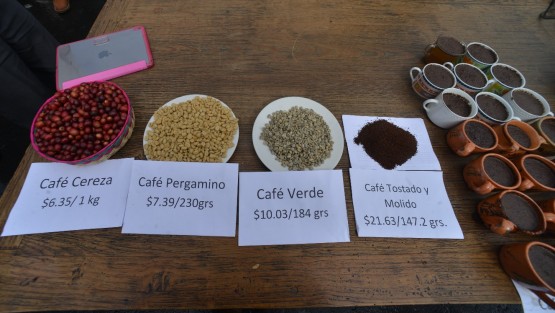 Integrantes del Consejo Regional del Café de Coatepec se manifestaron en plaza Lerdo para exigirle a los nuevos gobiernos federal y estatal, diálogo, y así tomar medidas para enfrentar los problemas por los precios tan bajos que se le pagan al sector. 