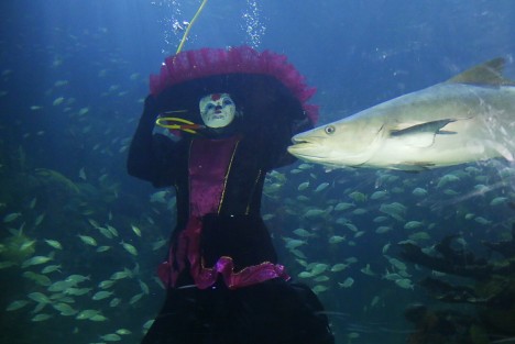 El Acuario de Veracruz presentó a la Catrina Acuática. El personaje, alusivo a la celebración del Día de los Muertos, se pudo apreciar en el interior de la Pecera Continental.