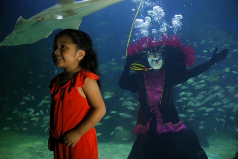 El Acuario de Veracruz presentó a la Catrina Acuática. El personaje, alusivo a la celebración del Día de los Muertos, se pudo apreciar en el interior de la Pecera Continental.