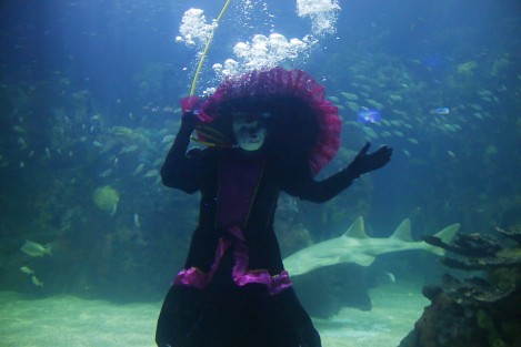 El Acuario de Veracruz presentó a la Catrina Acuática. El personaje, alusivo a la celebración del Día de los Muertos, se pudo apreciar en el interior de la Pecera Continental.  