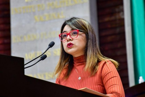 La diputada federal Dorheny García Cayetano propuso hoy un Punto de Acuerdo ante la Cámara de Diputados, a fin de que la PGR informe sobre la investigación por enriquecimiento ilícito y lavado de dinero en que se involucra a Miguel Ángel Yunes Linares.